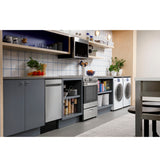 24" 2.9 Cu. Ft. Electric Range - (QAS740RMSS)