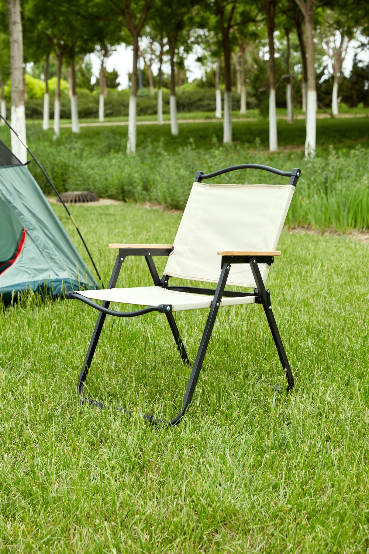 Folding Outdoor Chair For Indoor, Outdoor Camping, Picnics, Beach, Backyard, Bbq, Party, Patio