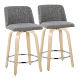 Toriano - 24" Fixed-height Counter Stool (Set of 2) - Noise Gray