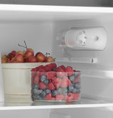 GE(R) 9.8 Cu. Ft. 12 Volt DC Power Top-Freezer Refrigerator - (GPV10FSNSB)