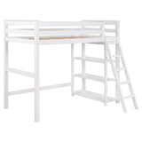 Anica - Workstation Loft Bed