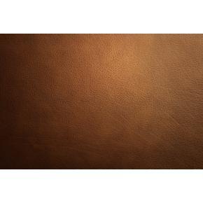 Cognac 18" Cuts By JennAir Leather Panel