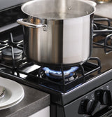 GE(R) 30" Free-Standing Gas Range - (JGBS60DEKBB)