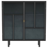 Dalia - 2 Door Accent Storage Cabinet With Shelving - Black