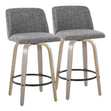 Toriano - 26" Fixed-height Counter Stool (Set of 2) - Gray Noise And Light Gray