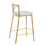 Modern Charlotte - Contemporary Fixed Height Counter Stool (Set of 2)