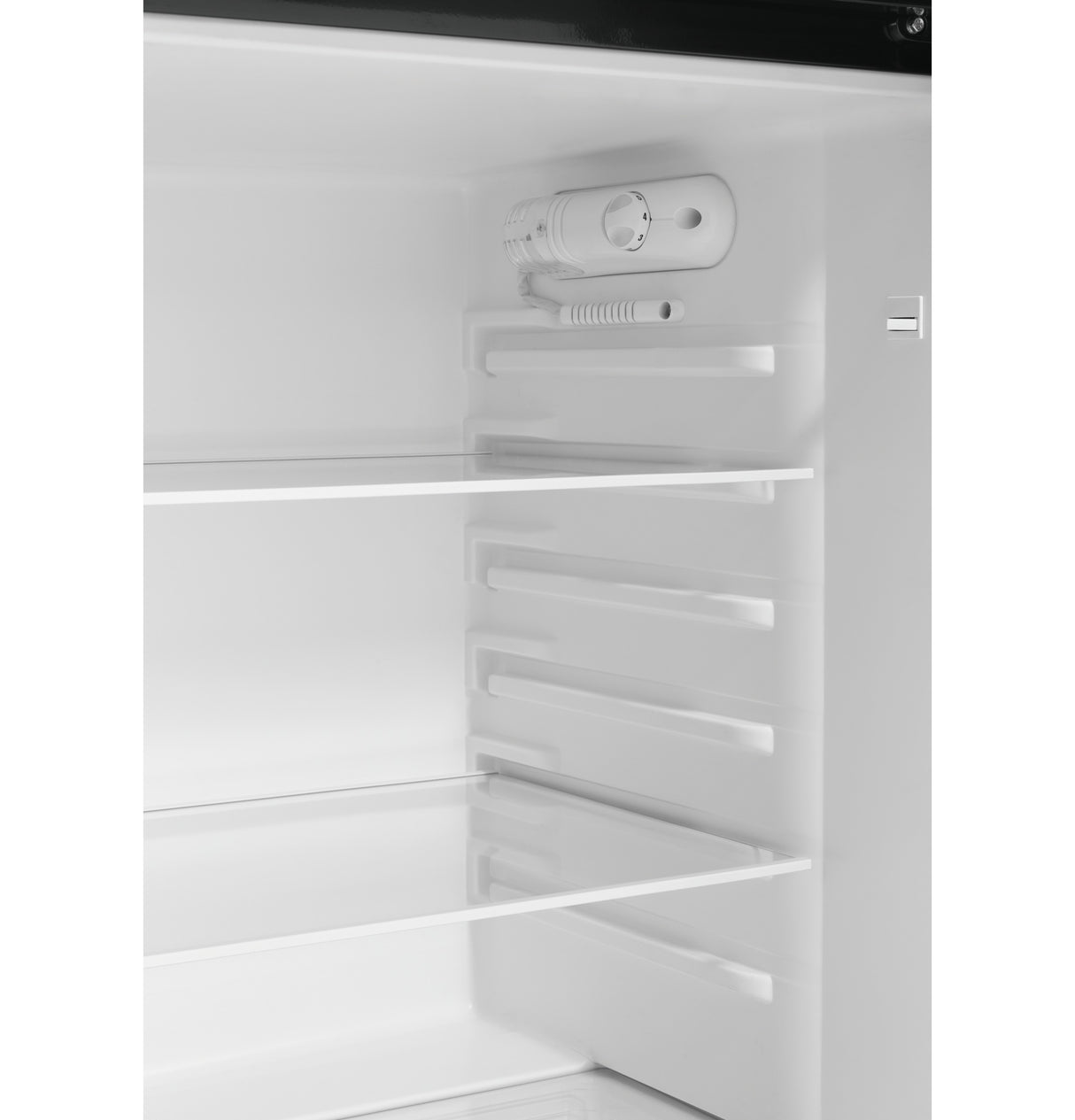 GE(R) 9.8 Cu. Ft. 12 Volt DC Power Top-Freezer Refrigerator - (GPV10FSNSB)