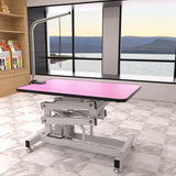 Hydraulic Pet Grooming Table