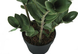 29" Tall, Artificial Plant, Zz Tree, Indoor, Faux, Fake, Floor, Greenery, Potted, Real Touch, Decorative - Green / Black