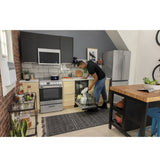 24" 2.9 Cu. Ft. Electric Range - (QAS740RMSS)