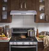 GE Profile(TM) 30" Under The Cabinet Hood - (PVX7300SJSS)