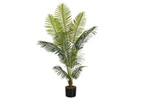 57" Tall, Artificial Plant, Palm Tree, Indoor, Faux, Fake, Floor, Greenery, Potted, Real Touch, Decorative - Green / Black