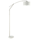 Moniz - Drum Shade Arc Adjustable Floor Lamp - Chrome