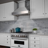 ZLINE DuraSnow Stainless Steel Range Hood with DuraSnow Shell (8654SN) - (8654SN30)