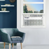 Danby 10,000 BTU Window AC in White - (DAC100EB6WDB)