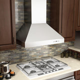 ZLINE Outdoor Wall Mount Range Hood in Outdoor Approved Stainless Steel (667-304) - (66730430)