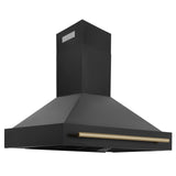 ZLINE 48 in. Autograph Edition Black Stainless Steel Range Hood with Handle (BS655Z-48) [Color: Gold] - (BS655Z48G)