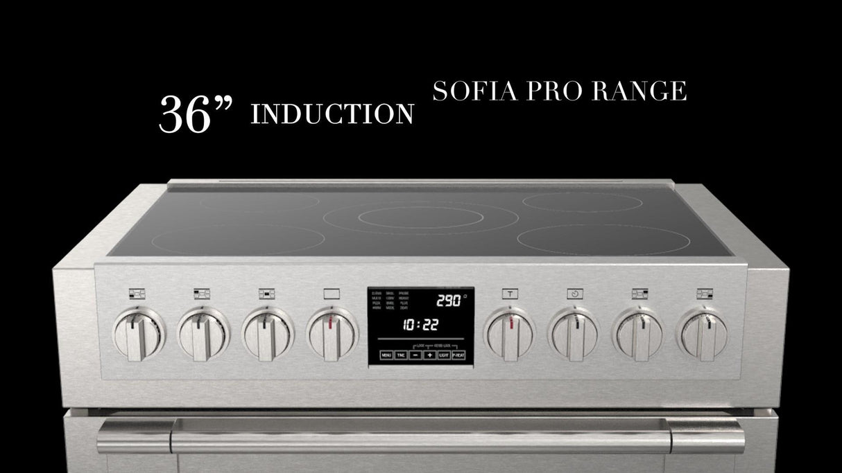 36" INDUCTION PRO RANGE - (F6PIR365S1)