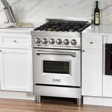 ZLINE 24 in. Professional Dual Fuel Range with Color Door Options (RA24) [Color: Stainless Steel with Brass Burners] - (RABR24)