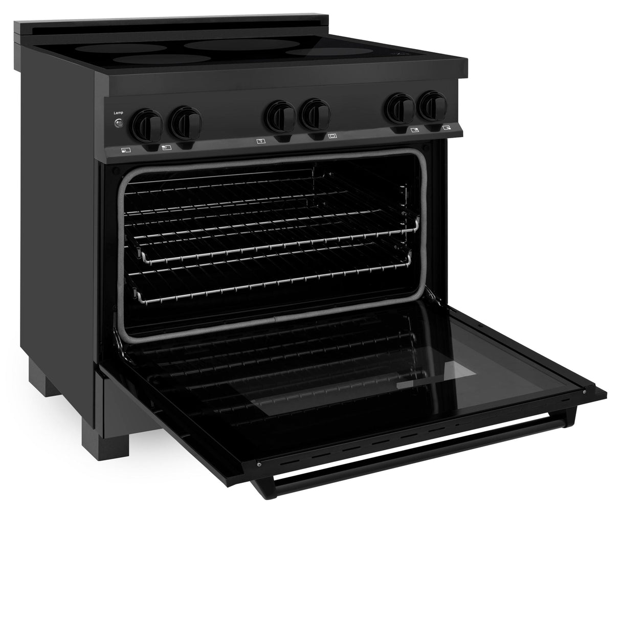 ZLINE 36" 4.6 cu. ft. Induction Range with a 5 Element Stove and Electric Oven in Black Stainless Steel (RAIND-BS-36) - (RAINDBS36)