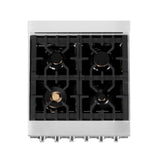 ZLINE 24 in. Professional Dual Fuel Range with Color Door Options (RA24) [Color: Stainless Steel with Brass Burners] - (RABR24)