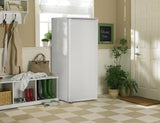 Danby Designer 11.0 cu. ft. Apartment Size Fridge in White - (DAR110A1WDD)