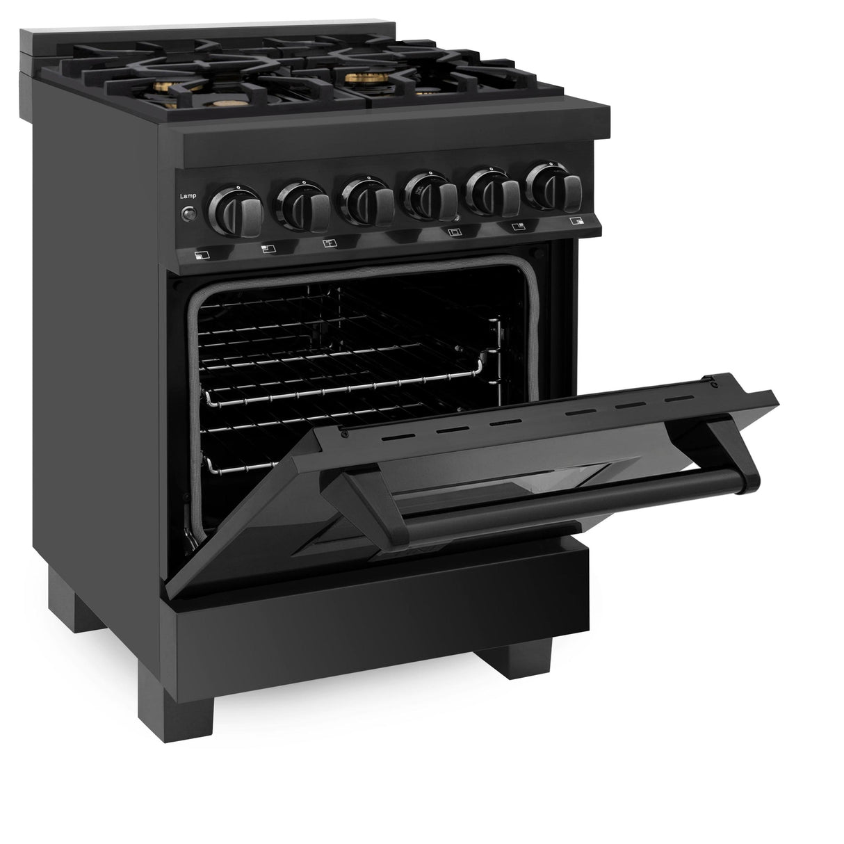 ZLINE 24 in. Professional Dual Fuel Range in Black Stainless Steel (RAB-BR-24) - (RABBR24)