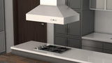 ZLINE Outdoor Approved Island Mount Range Hood in Stainless Steel (697i-304) - (697I30442)