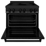 ZLINE 36" 4.6 cu. ft. Induction Range with a 5 Element Stove and Electric Oven in Black Stainless Steel (RAIND-BS-36) - (RAINDBS36)