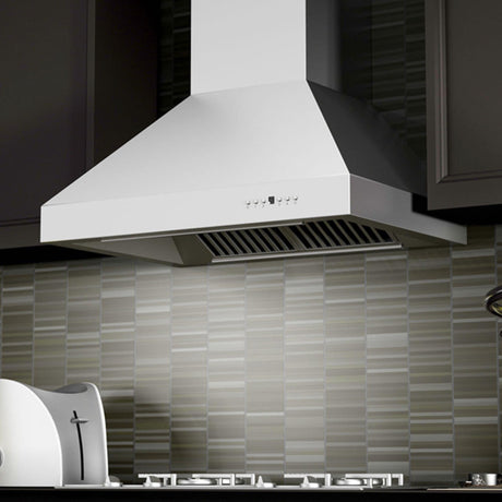 ZLINE Outdoor Wall Mount Range Hood in Outdoor Approved Stainless Steel (667-304) - (66730442)