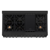 ZLINE 48 in. Black Stainless 6.0 cu. ft. 7 Gas Burner/Electric Oven Range (RAB-BR-48) - (RABBR48)