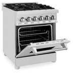 ZLINE 24 in. Professional Dual Fuel Range with Color Door Options (RA24) [Color: DuraSnow Stainless Steel Door] - (RASN24)