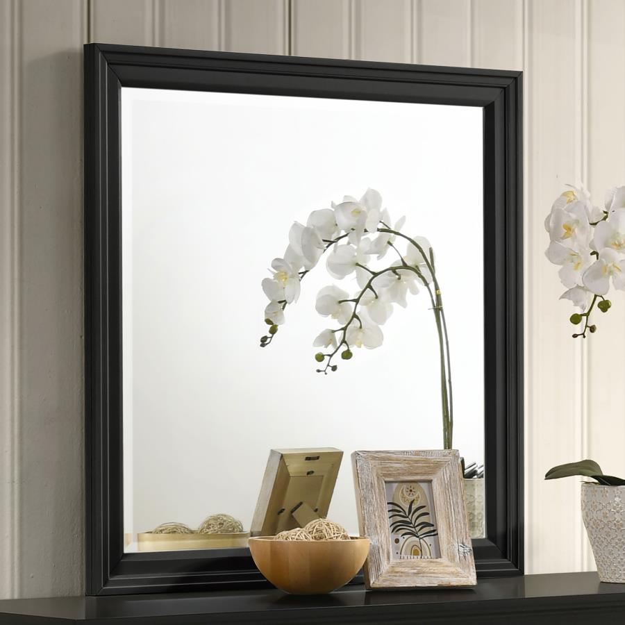 Sandy Beach Vertical Dresser Mirror Black - (201324)