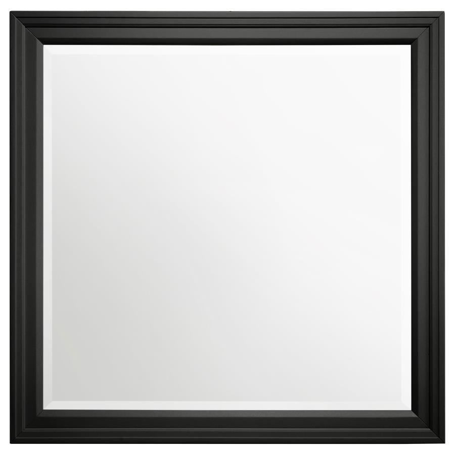 Sandy Beach Vertical Dresser Mirror Black - (201324)