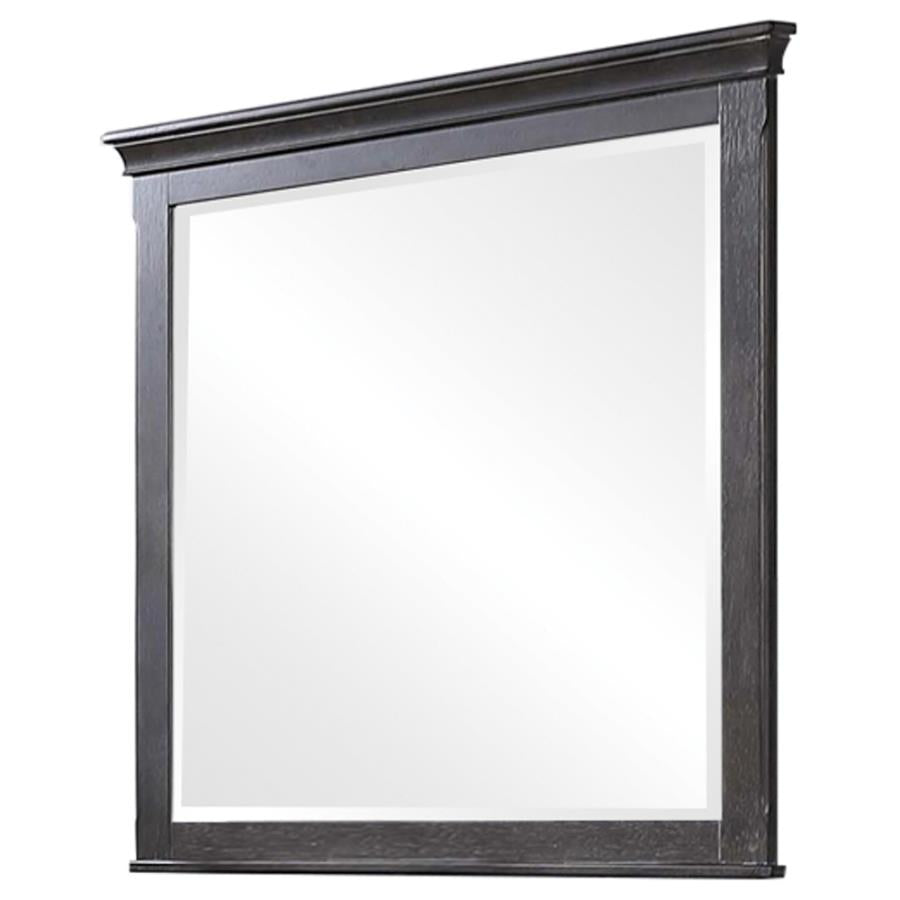 Franco Rectangular Dresser Mirror Weathered Sage - (205734)