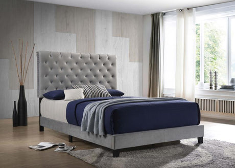 Warner Queen Upholstered Bed Grey - (310042Q)