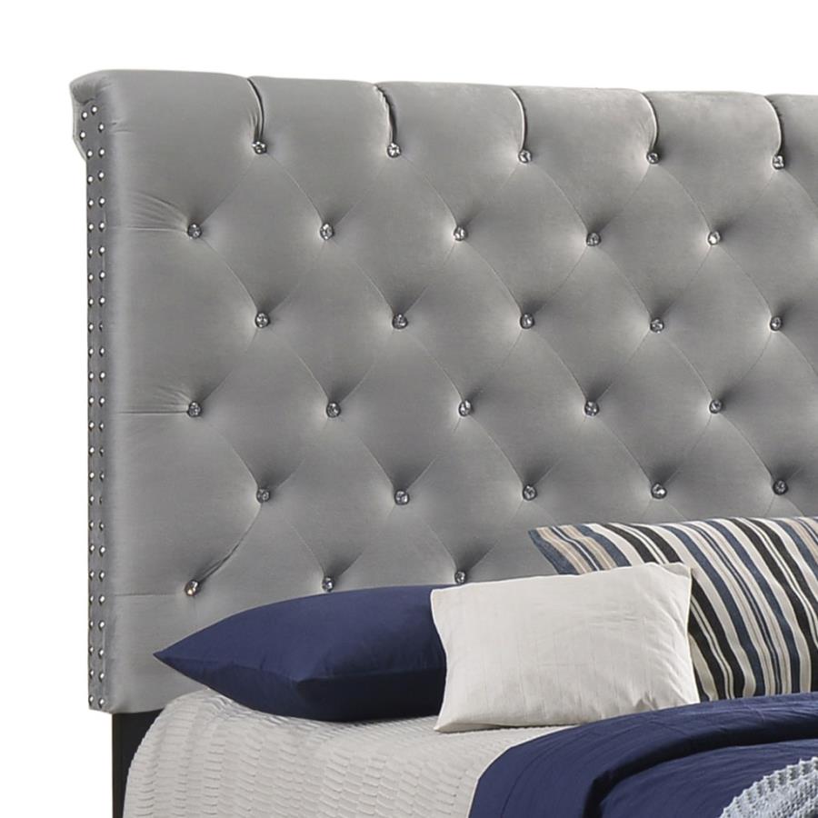 Warner Queen Upholstered Bed Grey - (310042Q)