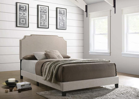 Tamarac Upholstered Nailhead Full Bed Beige - (310061F)