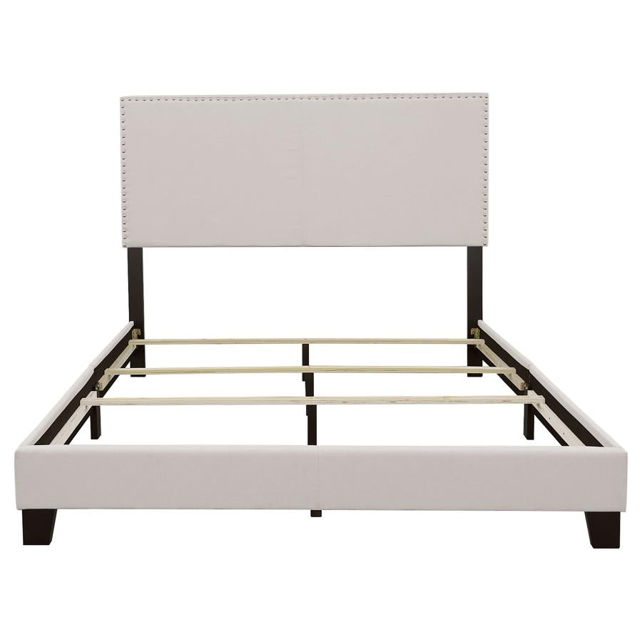 Boyd Queen Upholstered Bed With Nailhead Trim Ivory - (350051Q)